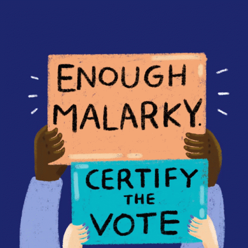 Certify The Vote Enough Malarky GIF - Certify The Vote Enough Malarky Certify GIFs