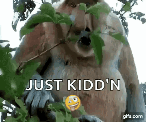 a monkey with a smiley face sticking its tongue out and the words `` just kidd 'n '' next to it .