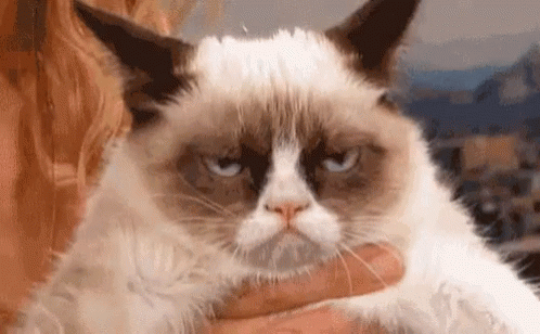 Nope Grumpy GIF - Nope Grumpy Grumpy Cat GIFs