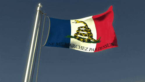 a flag that says ne me marchez pas dessous on it