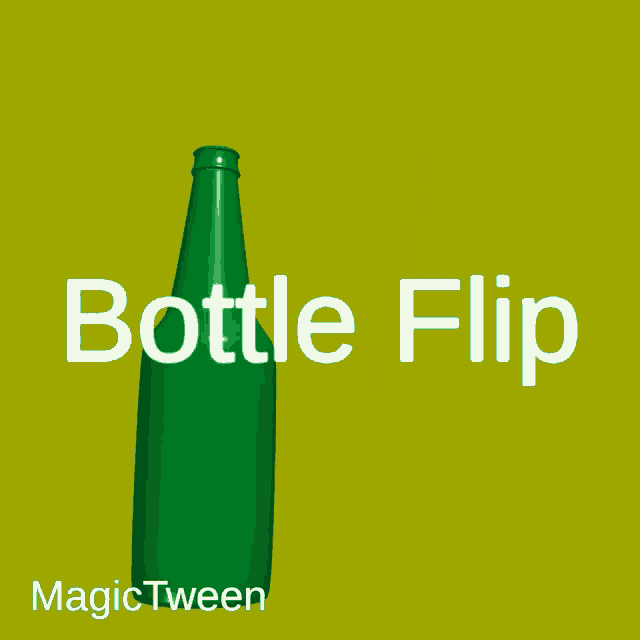 Beer Bottle GIF - Beer Bottle Bottle Flip GIFs