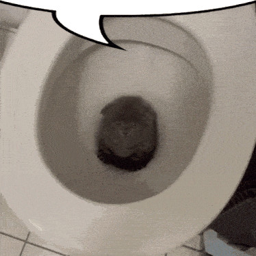 a cat is sitting in a toilet with a speech bubble behind it