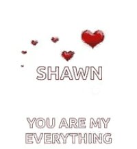 shawn , you are my everything with red hearts floating in the air .