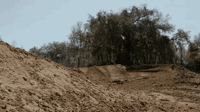 a dirt road with trees in the background