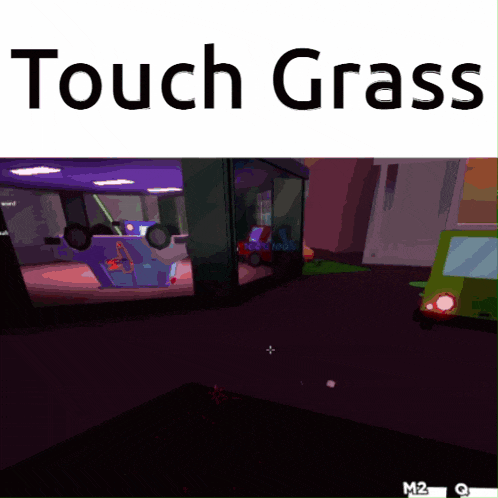 a screen shot of a video game with the words touch grass