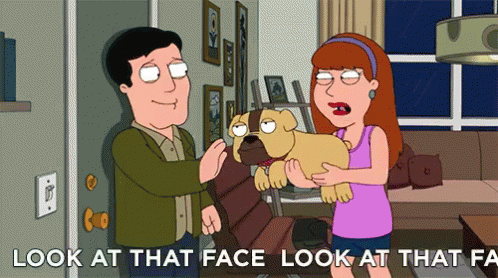 Dog Lovers - Family Guy GIF - Family Guy Look At That Face Dog GIFs