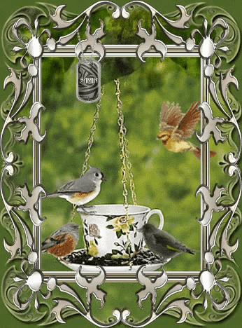 a picture of birds in a teacup with a tag that says ' robin ' on it