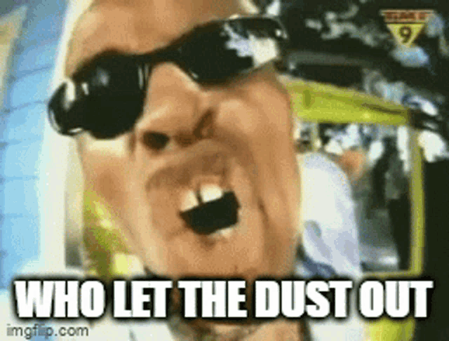 Who Let The Dogs Out Who Let Dust Out GIF - Who Let The Dogs Out Dogs Out Who Let Dust Out GIFs