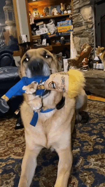 a dog is holding a stuffed animal with a face on it in a living room