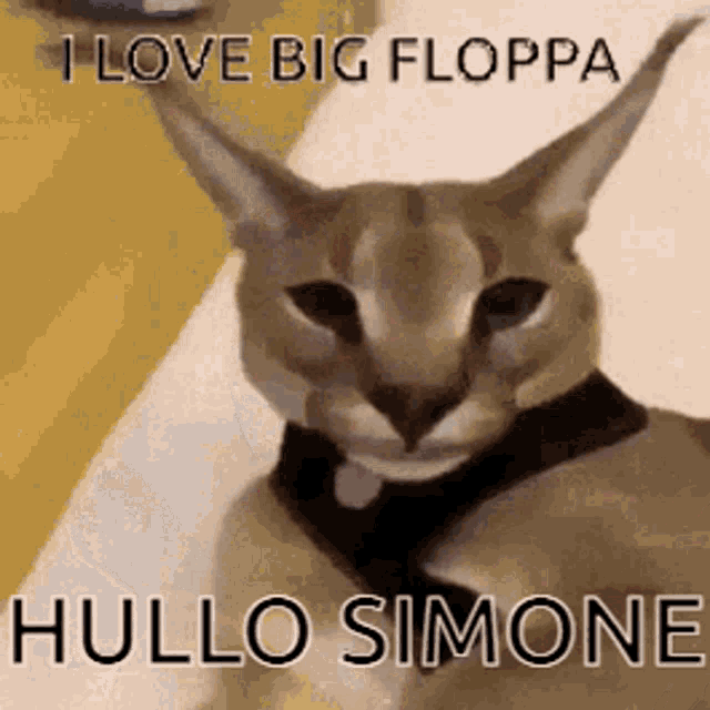 Simone Floppa GIF