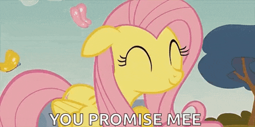 a couple of ponies standing next to each other with the words `` you promise mee '' written on the bottom .