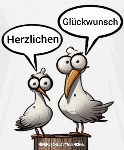 two seagulls are standing next to each other with speech bubbles saying herzlichen and glückwunsch