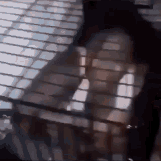 Lock In Cage GIF