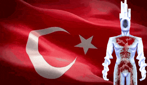 a turkey flag with a white star and a crescent moon