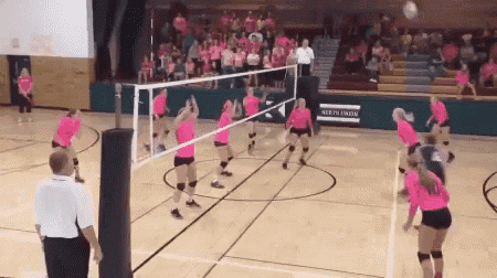 Volleyball Faceoff GIF - Volleyball Faceoff Head Shot GIFs