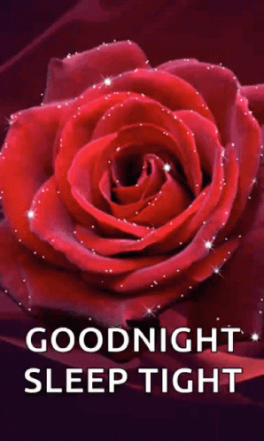 Goodnight Sparkles GIF - Goodnight Sparkles Sleep Tight GIFs