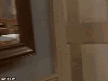 a teddy bear is looking out of a window at a living room with a camera .