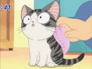 Anime Adorable GIF - Anime Adorable Cat GIFs