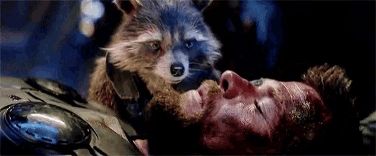 a raccoon is laying on top of a man 's face in a movie .