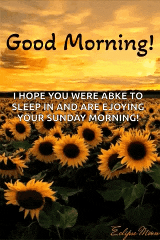 a good morning message with a field of sunflowers