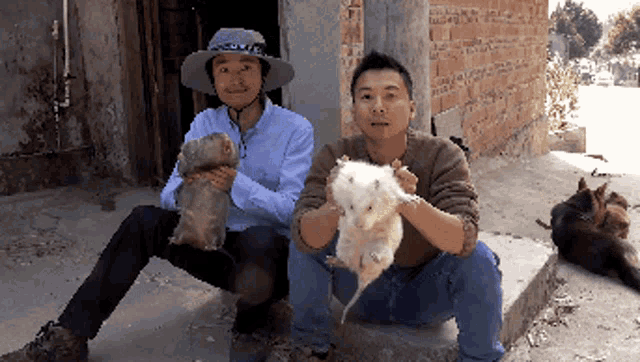 新年快樂 Rat GIF