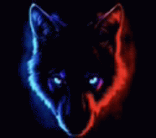 Wolf Wolfpack GIF - Wolf Wolfpack GIFs