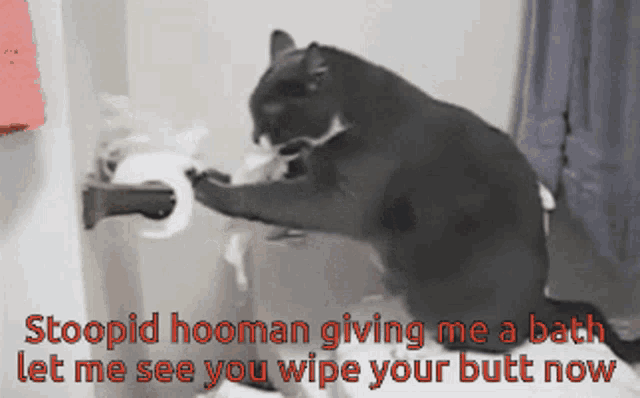 a cat is holding a roll of toilet paper with the caption stoopid hooman giving me a bath let me see you wipe your butt
