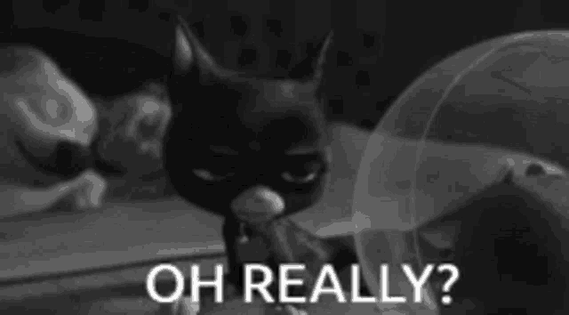 a black and white photo of a cat wearing a mask with the words `` oh really '' written below it .