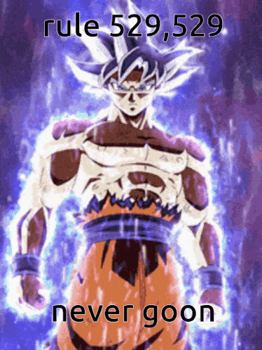 a picture of a cartoon character with the words rule 529,529 never goon below him