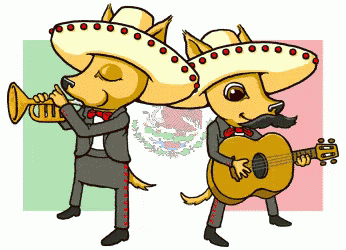Mariachi Foxes GIF - Cinco De Mayo Foxes Mexican Fox GIFs