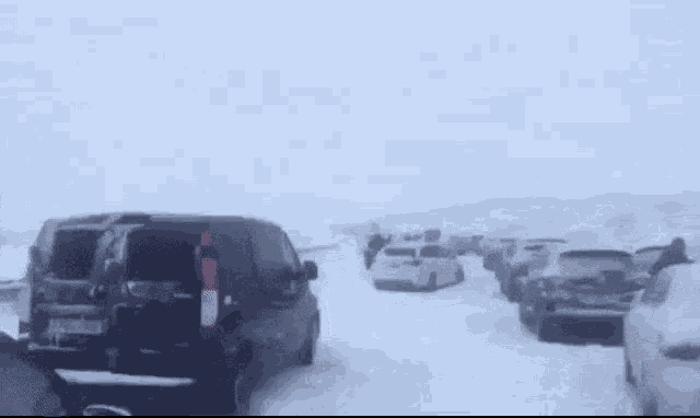 a lot of cars are driving in the snow .