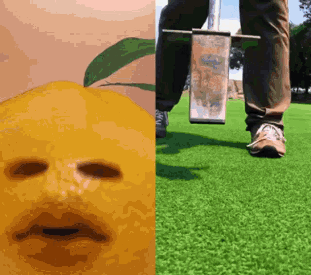 Annoying Orange Dont Like This Video GIF - Annoying Orange Dont Like This Video Reaction GIFs