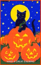 a black cat sitting on top of a pile of pumpkins