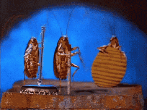 three cockroaches are standing on a bottle cap with a blue background behind them