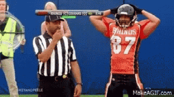 a football player wearing a red jersey with the number 87 on it