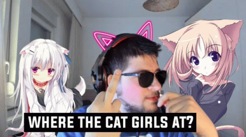 Where The Cat Girls At GIF - Where The Cat Girls At GIFs