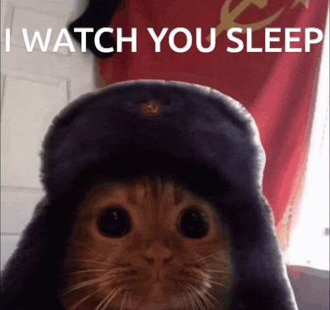 Russian Cat Funny Memes GIF - Russian Cat Funny Memes GIFs