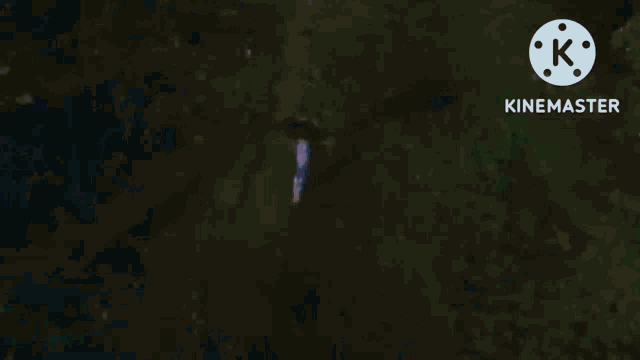 a person in a blue shirt is kneeling down in the grass .
