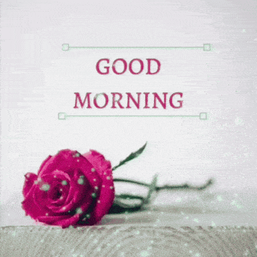 Good Morning Rose GIF - Good Morning Rose GIFs