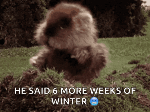 a picture of a furry animal with the caption he said 6 more weeks of winter