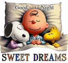 snoopy and woodstock are sleeping on a pillow with the words `` good night sweet dreams ''