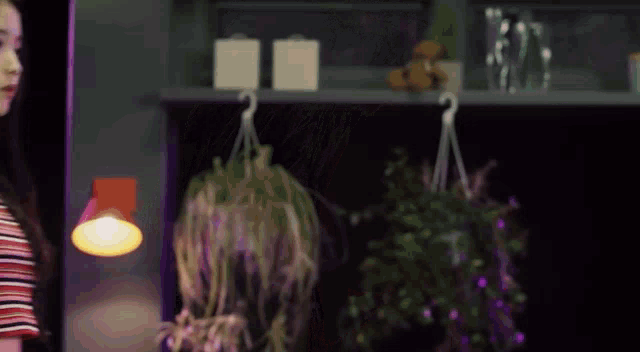a woman in a striped shirt is standing in front of a shelf with hanging potted plants .