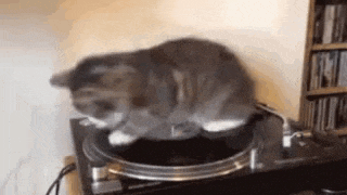 a cat is sitting on a record player .