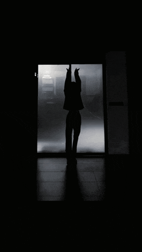 a silhouette of a person standing in front of a sliding glass door in a dark room .