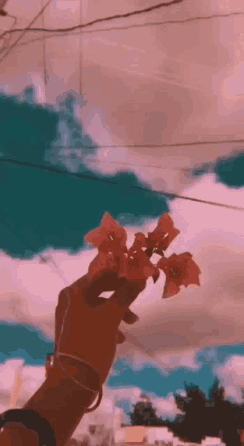 a person is holding a bunch of flowers in their hand against a cloudy sky .