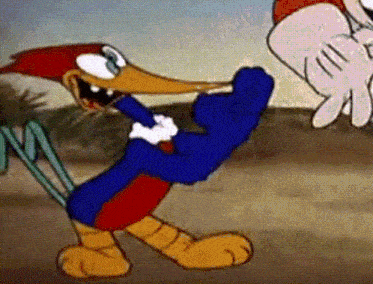 woody woodpecker is a cartoon character from the woody woodpecker cartoon series .