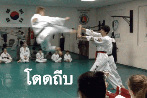 กระโดดถีบ GIF - Taekwondo Flying Kick GIFs