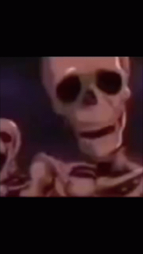 Wtf Skeleton GIF - Wtf Skeleton Number15shut The Fuck Up GIFs