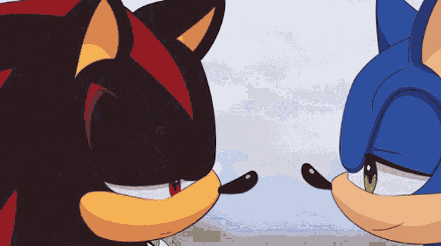 shadow the hedgehog and sonic the hedgehog are facing each other