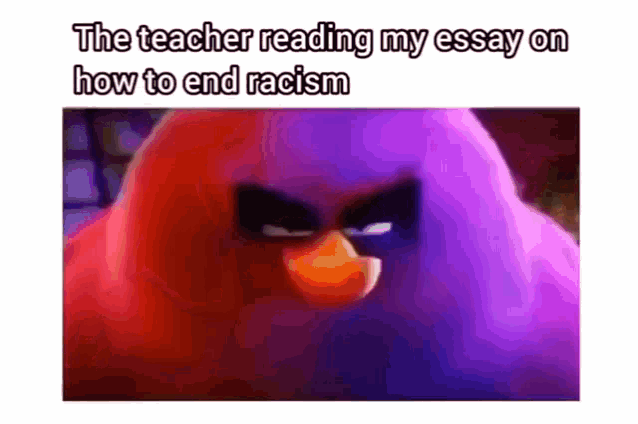 the teacher is reading my essay on how to end racism with a purple bird .